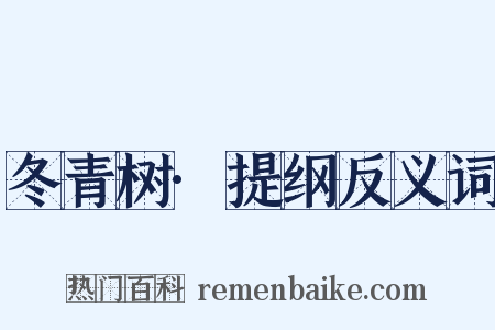 冬青树·提纲反义词是什么意思的图片